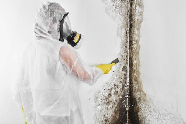 Water Damage Restoration in Richwood, WV